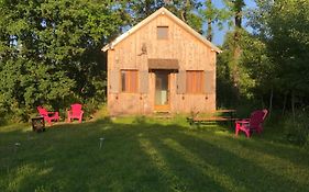 Tiny-House sous les arbres et les oiseaux
